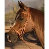 Professionals Choice Side Pull Round Leather Nose -Horse Riding Master 105337 default l