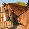 Professionals Choice Al Dunning Draw Rope Martingale 1 Professionals Choice Al Dunning Draw Rope Martingale -Horse Riding Master 106762 default l