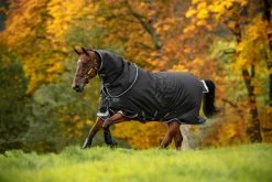 Horseware Ireland Amigo Bravo 12 Plus Turn Out Blanket