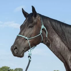 Classic Turquoise Premium Rope Halter W/9ft Black Lead