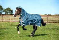 Horseware Amigo AmE 12 Plus Turnout 100g