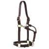 Weaver Leather Small Horse 1in Oiled Track Halter -Horse Riding Master 136854 default l