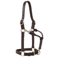 Weaver Leather Small Horse 1in Oiled Track Halter