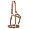 Weaver Leather 1in Russett Harness Leather Riveted Halter -Horse Riding Master 136857 default l