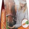 Woodys Carrot Smart Treats -Horse Riding Master 139235 default l