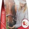 Woodys Apple Smart Treats -Horse Riding Master 139243 default l