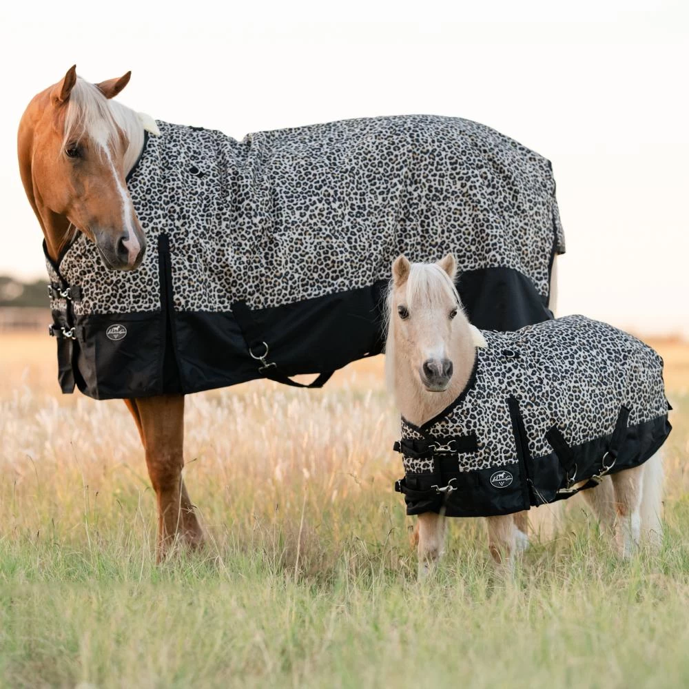 Professionals Choice Cheetah Pony Equisential 1200D Winter Blanket 3 Professionals Choice Cheetah Pony Equisential 1200D Winter Blanket