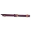 Martin Saddlery Leather Bit Hobble With Rawhide Loops -Horse Riding Master 19755 default l