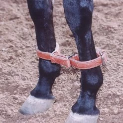 Martin Saddlery Harness Leather Hobbles