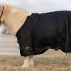 Professionals Choice Black 1200D Pony Winter Blanket -Horse Riding Master 214478 664428