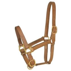 Professionals Choice 1in Large Horse Harness Leather Turn Out Halter