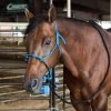 Caudle`S Halters Rope Nose Halter With An 8 1/2ft Lead Rope -Horse Riding Master 231933 737608