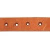 Professionals Choice Mens Sagebrush Spur Straps HL -Horse Riding Master 51ISuS1g7NL