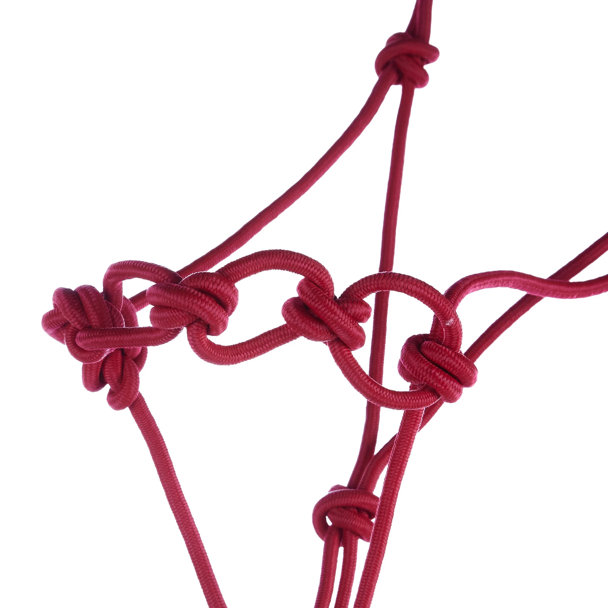 Mustang Infinity Knot Horse Rope Halter With 12 Foot Lead Rope 4 Mustang Infinity Knot Horse Rope Halter With 12 Foot Lead Rope - Image 2