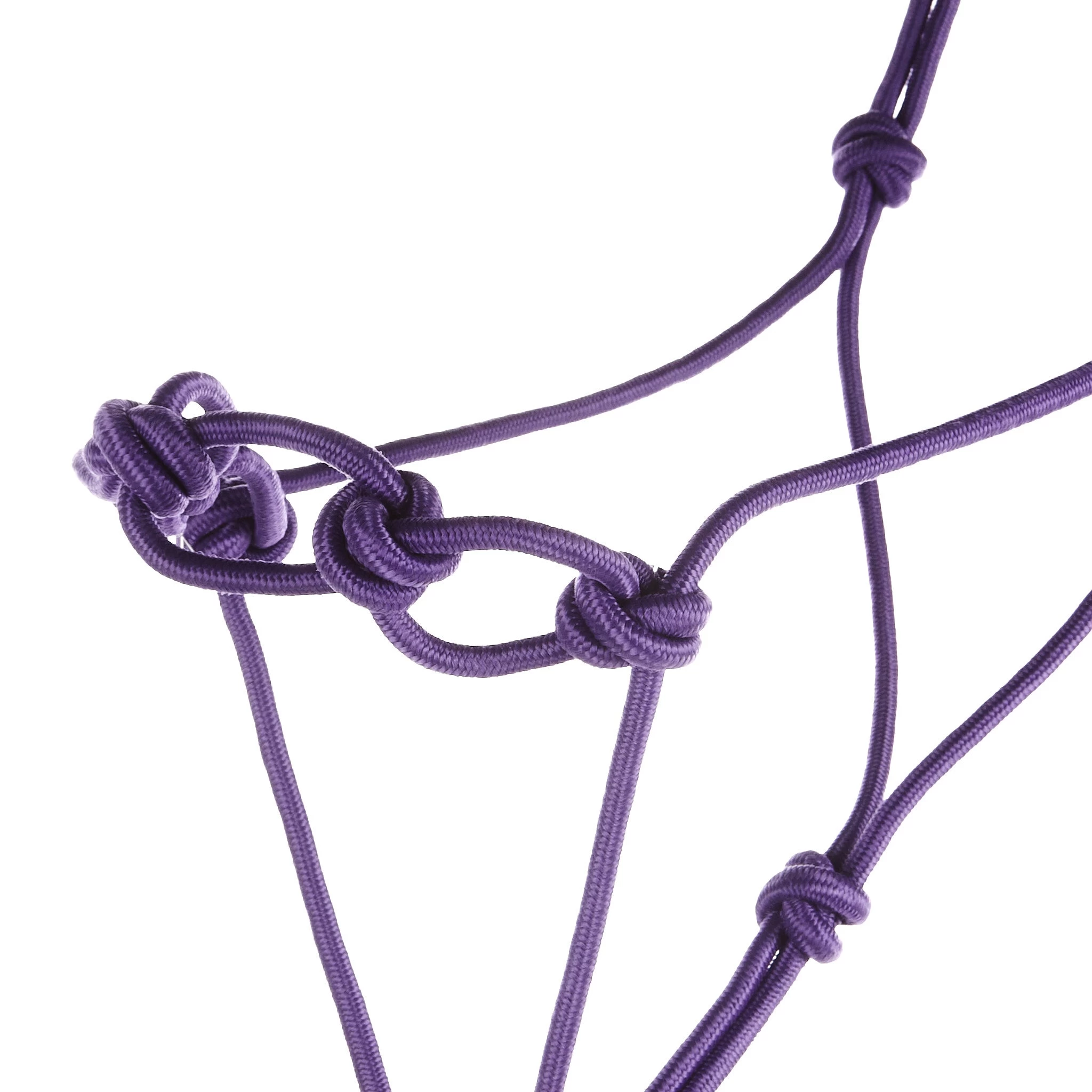 Mustang Infinity Knot Horse Rope Halter With 12 Foot Lead Rope 6 Mustang Infinity Knot Horse Rope Halter With 12 Foot Lead Rope - Image 4