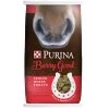 Purina Animal Nutrition Berry Good Senior Horse Treats 15lbs -Horse Riding Master 90977 default l