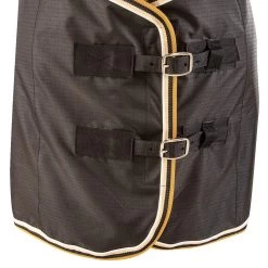 Classic Open Front Stable Sheet -Horse Riding Master CENS BLK GLD