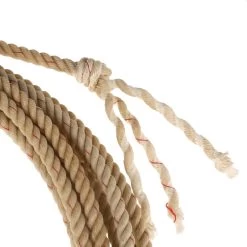 Horse Riding Master -Horse Riding Master DG AGE 11