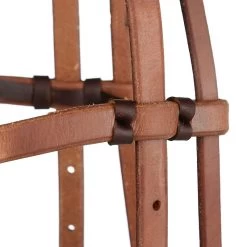 Martin Saddlery Basic Oiled Harness Browband Headstall -Horse Riding Master HB21ANT 010