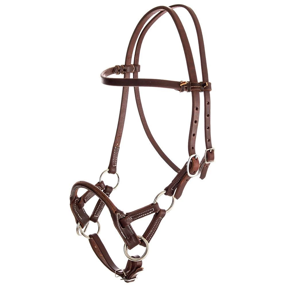 NRS Side Pull W/ Oiled Harness Leather 4 NRS Side Pull W/ Oiled Harness Leather - Image 2