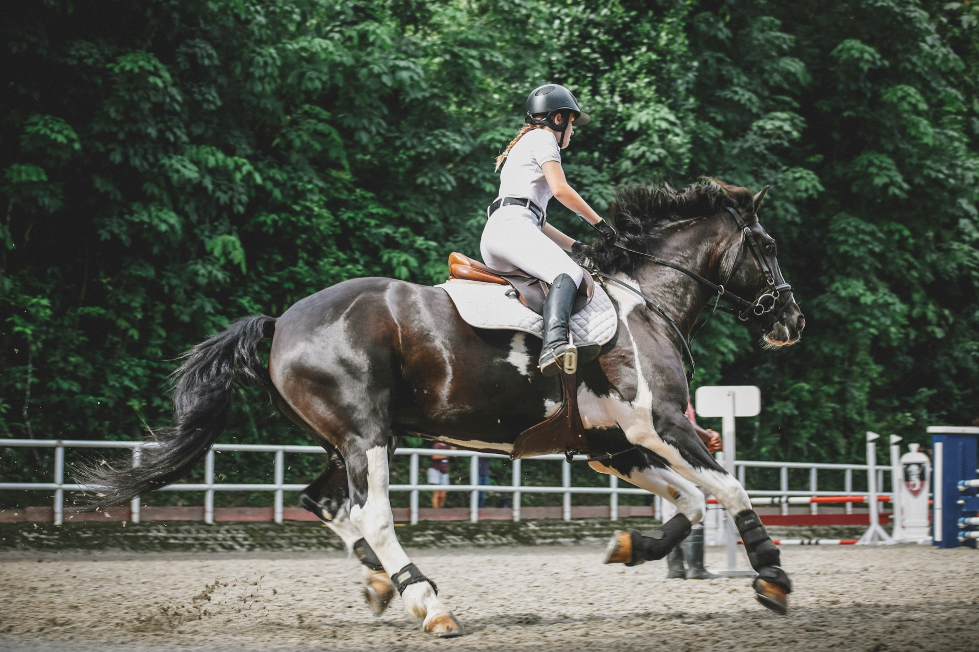 Horse Riding Master -Horse Riding Master lily banse vLrlxsNKE3Y unsplash